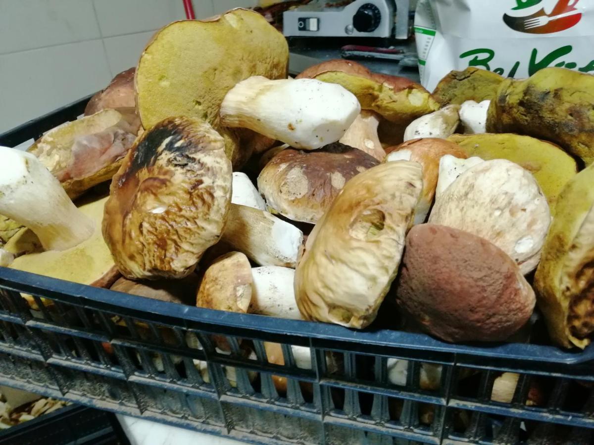 مبيت وإفطار فاليفو Etno Selo Lelic المظهر الخارجي الصورة