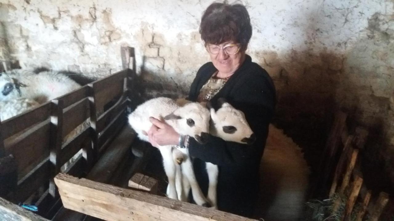 مبيت وإفطار فاليفو Etno Selo Lelic المظهر الخارجي الصورة